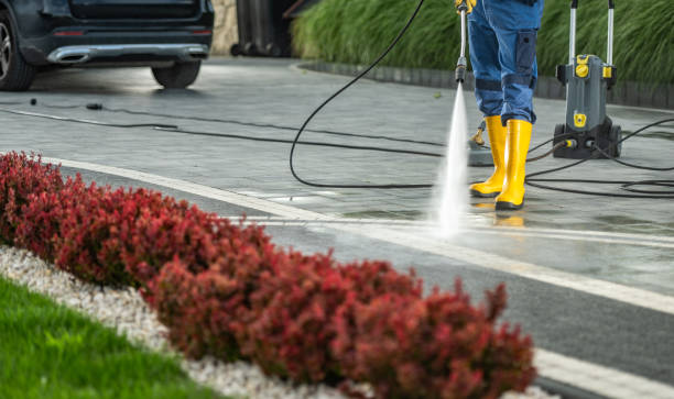 Best Sidewalk and Walkway Cleaning  in Lake Elmo, MN